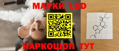гашик Новозыбков